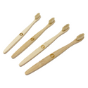 Brosse à dents en poils de sanglier naturel