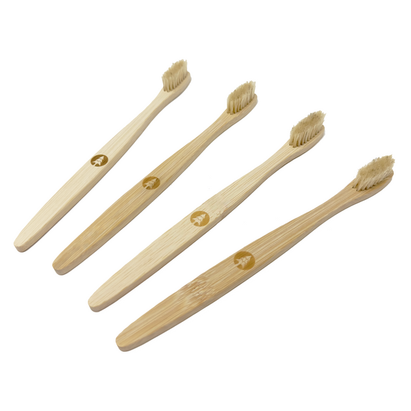 Brosse à dents en poils de sanglier naturel