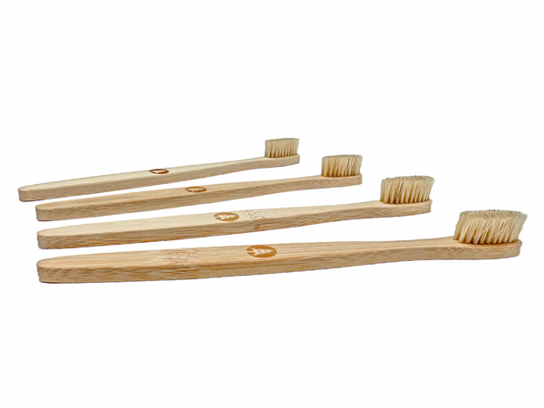 Brosse à dents en poils de sanglier naturel