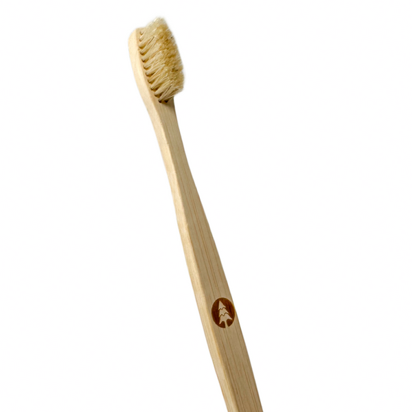Brosse à dents en poils de sanglier naturel